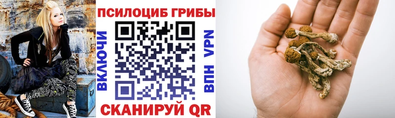 Галлюциногенные грибы мухоморы  Пласт 